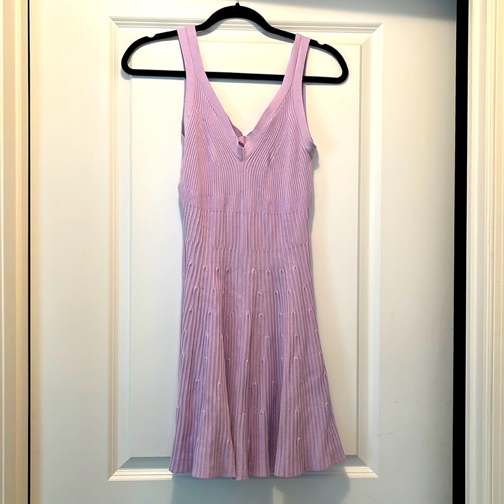 New without tags lilac pastel Express lightweight sweater dress size medium.